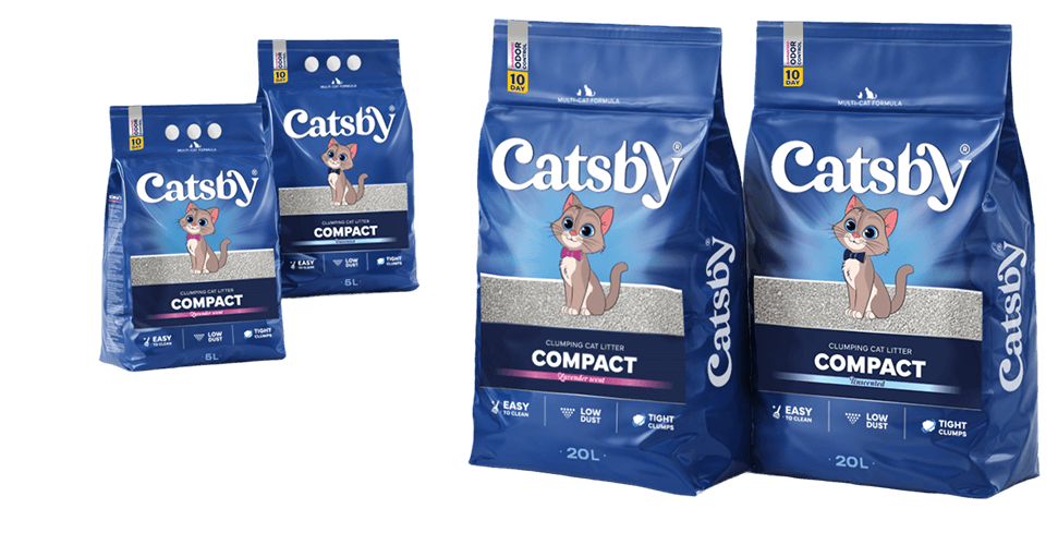 Catsby
