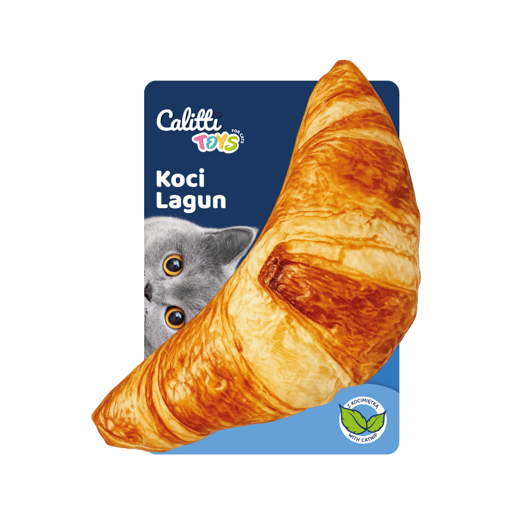 Calitti koci lagun
